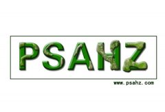 PSƲʣ͹