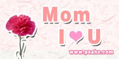 <b>PSĸ׽ǩͼ</b>