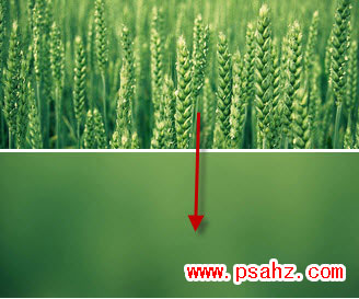 PSҳƽ̳̣ϸPS()Ĳ
