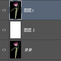 PSͼ̳̣ñƤɿѡزͼƬ