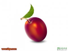 <b>Photoshop</b>