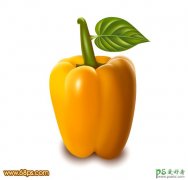 <b>photoshop</b>