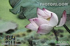 <b>photoshop</b>
