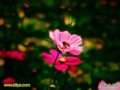 <b>photoshop</b>