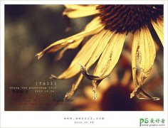 <b>photoshopƯ</b>