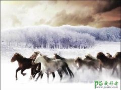 <b>photoshop</b>