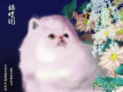 PS̳̣