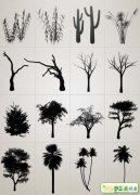 photoshop