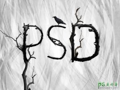 Photoshop