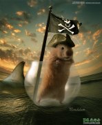 Photoshop