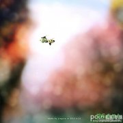 photoshop