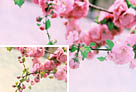 photoshop