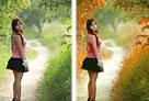Photoshop