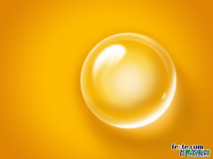 <b>Photoshop</b>