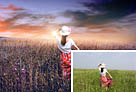 <b>Photoshop</b>