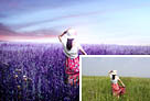 <b>PSŮڵɫ</b>