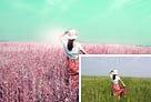 <b>Photoshop</b>