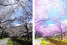 <b>Photoshop</b>