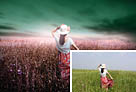<b>Photoshop</b>