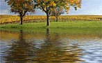 Flood Ưˮ